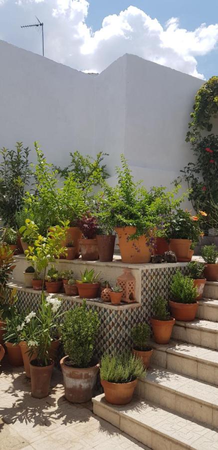 Casa Rural Los Danzantes Fuente-Tojar 外观 照片