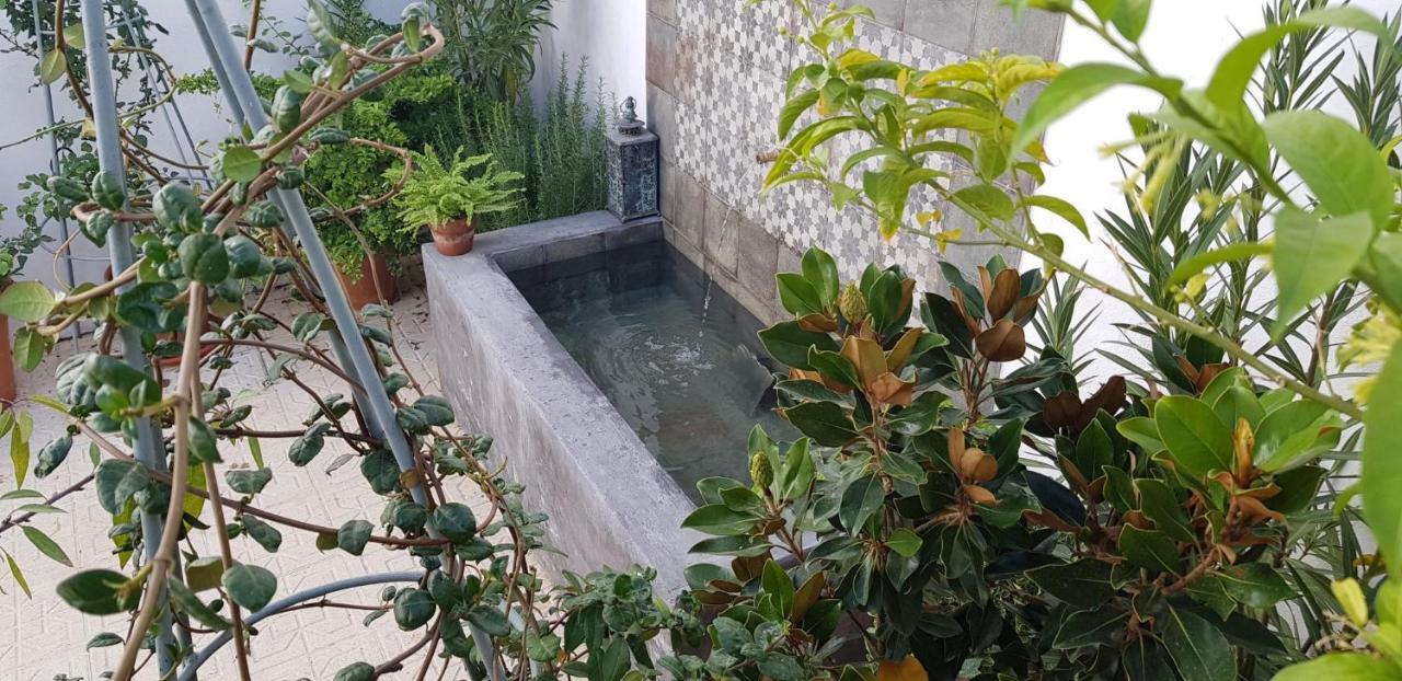 Casa Rural Los Danzantes Fuente-Tojar 外观 照片